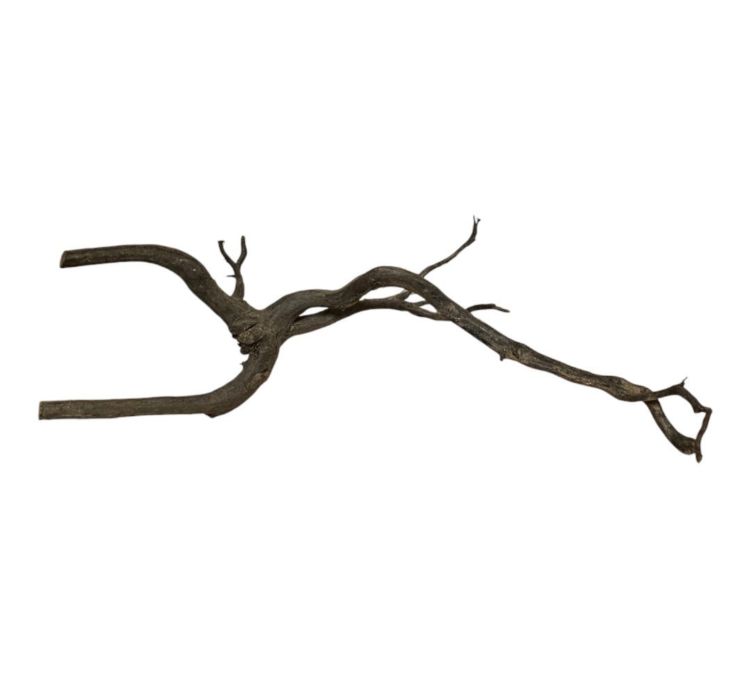 Rasamala Black Scaper Root Nr.828