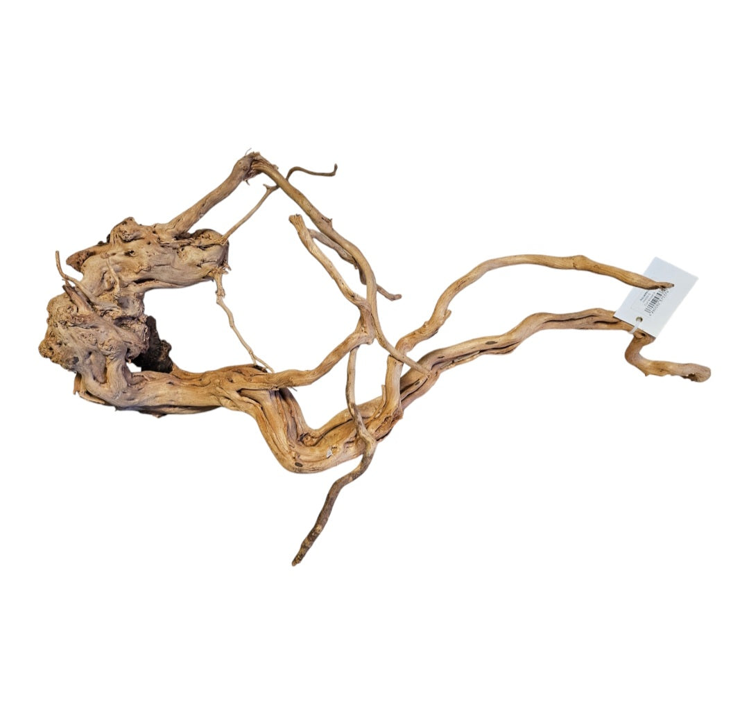 Dragon Wood / Curl Wood Wurzel405