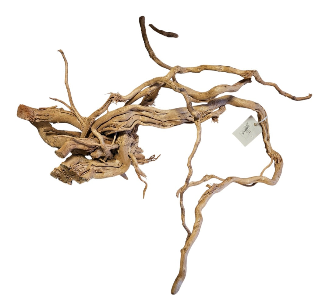 Dragon Wood / Curl Wood Wurzel406