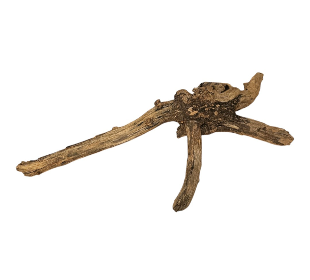 Coral Sinker Wood Nr.640