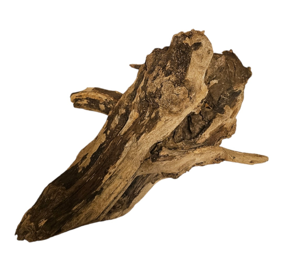 Coral Sinker Wood Nr.641