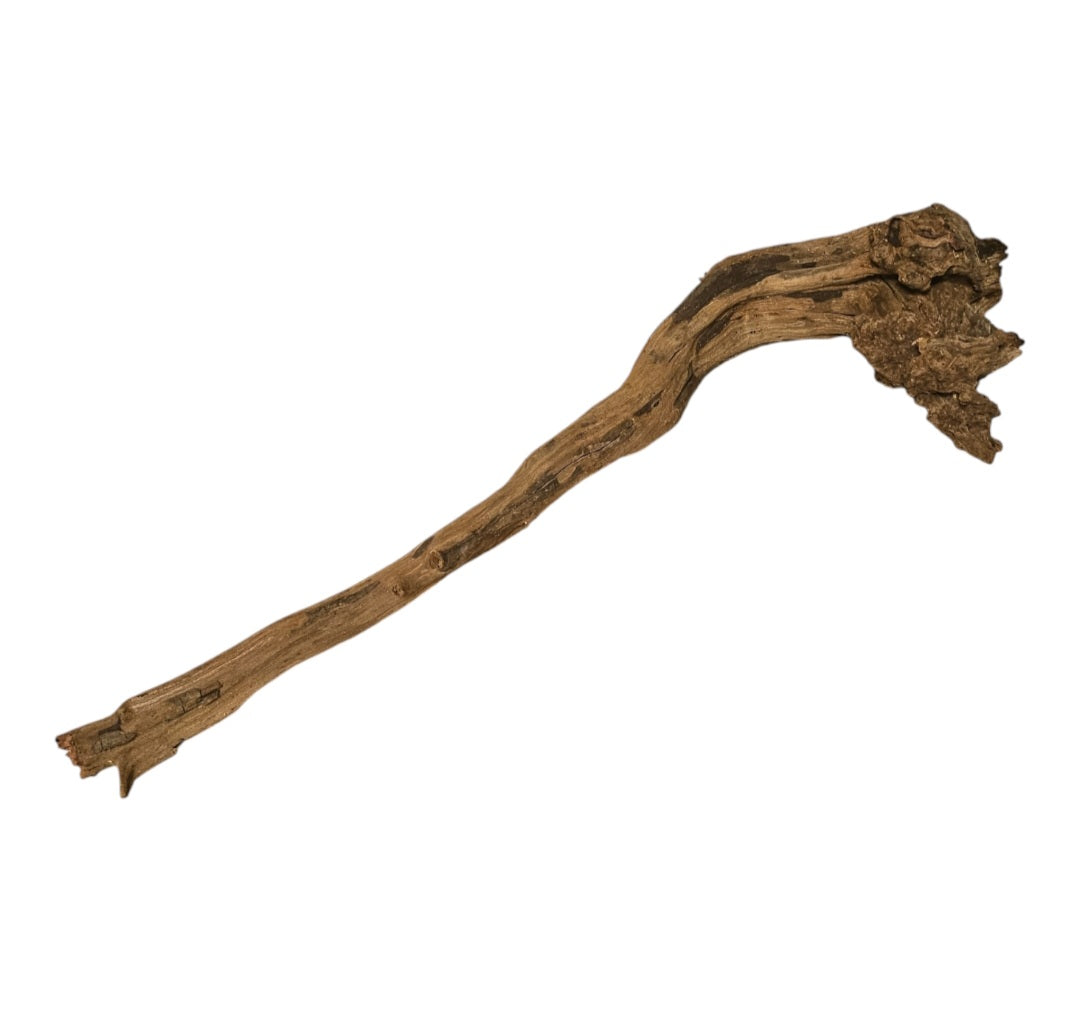 Coral Sinker Wood Nr.643