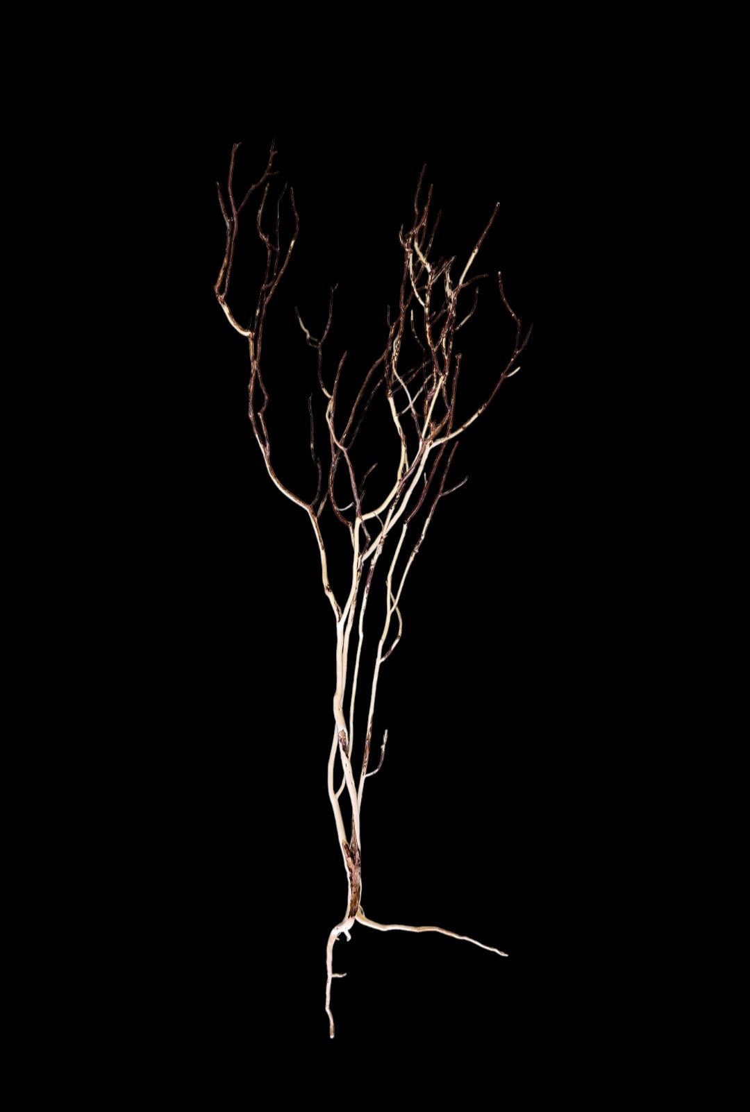 Ghost Wood XL Nr.839