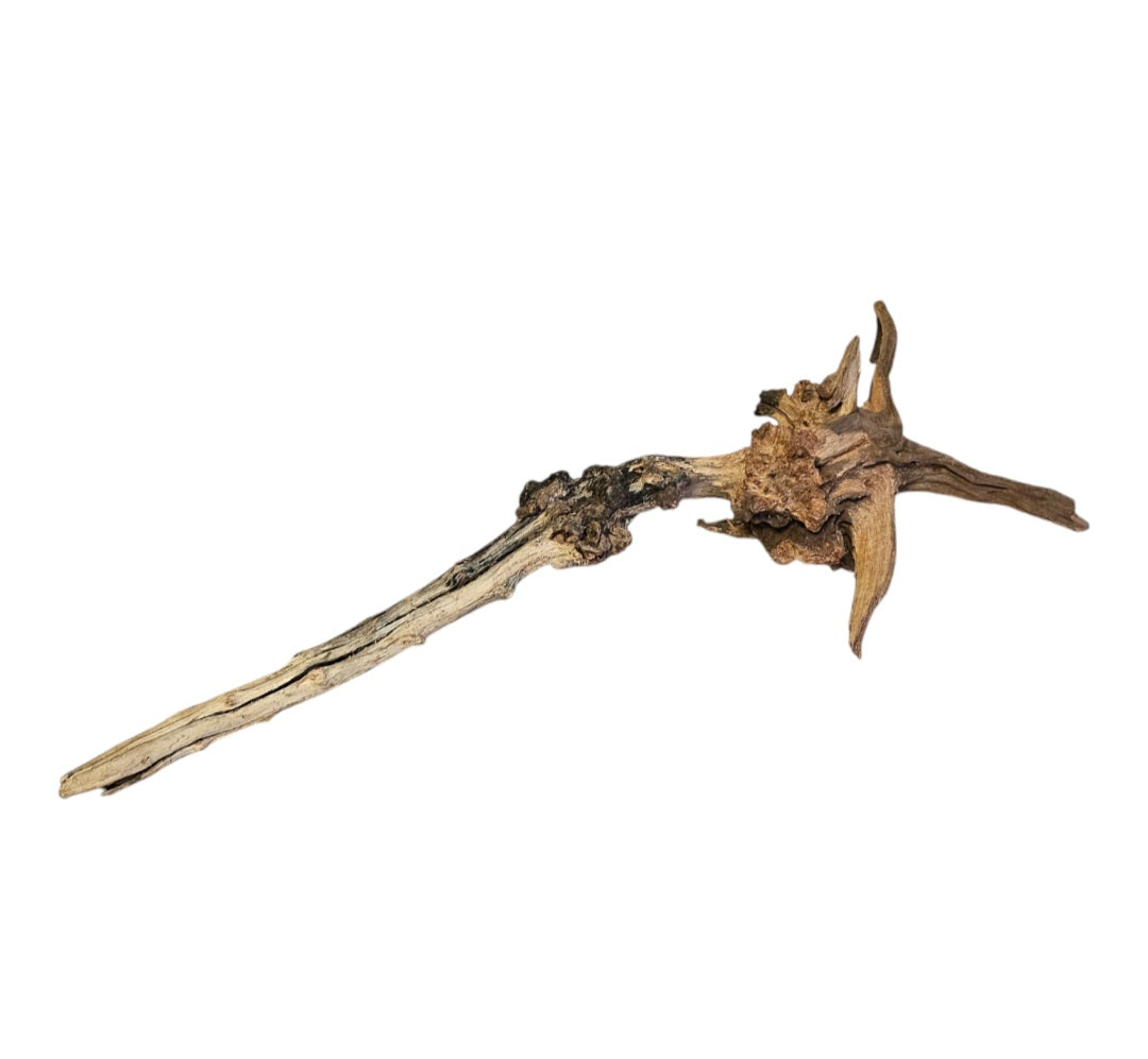 Coral Sinker Wood Nr. 866