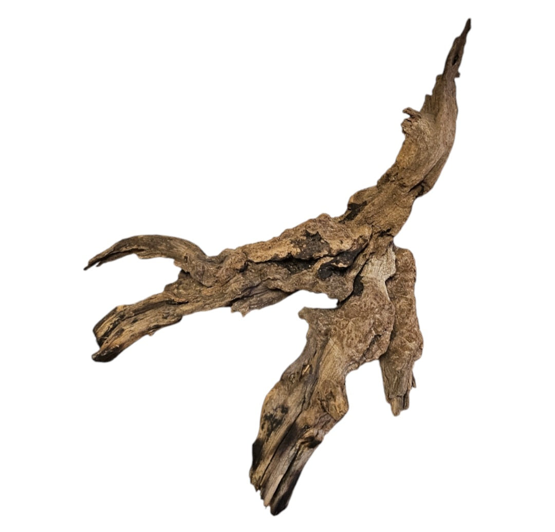 Coral Sinker Wood Nr. 871