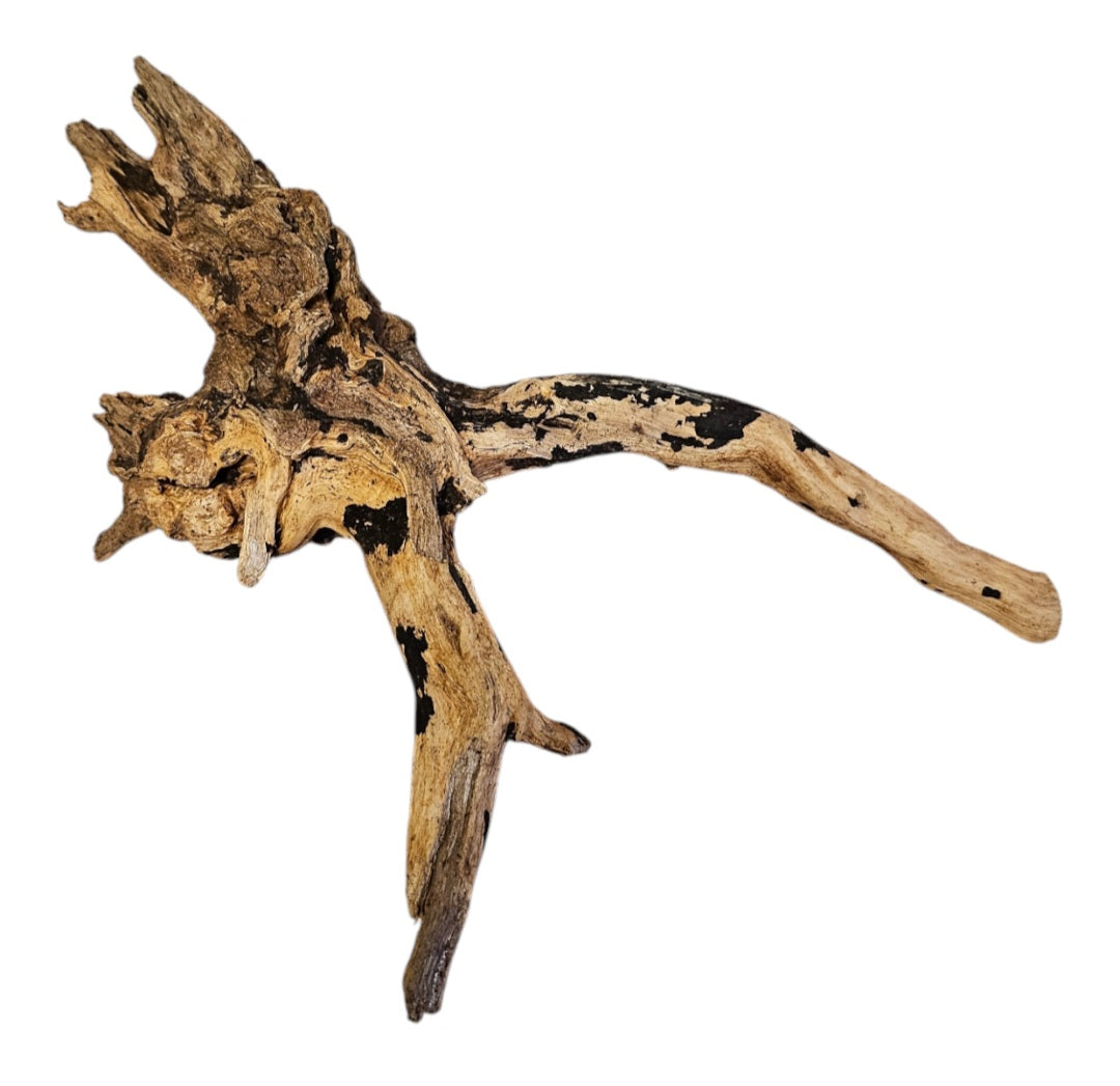 Coral Sinker Wood Nr. 872