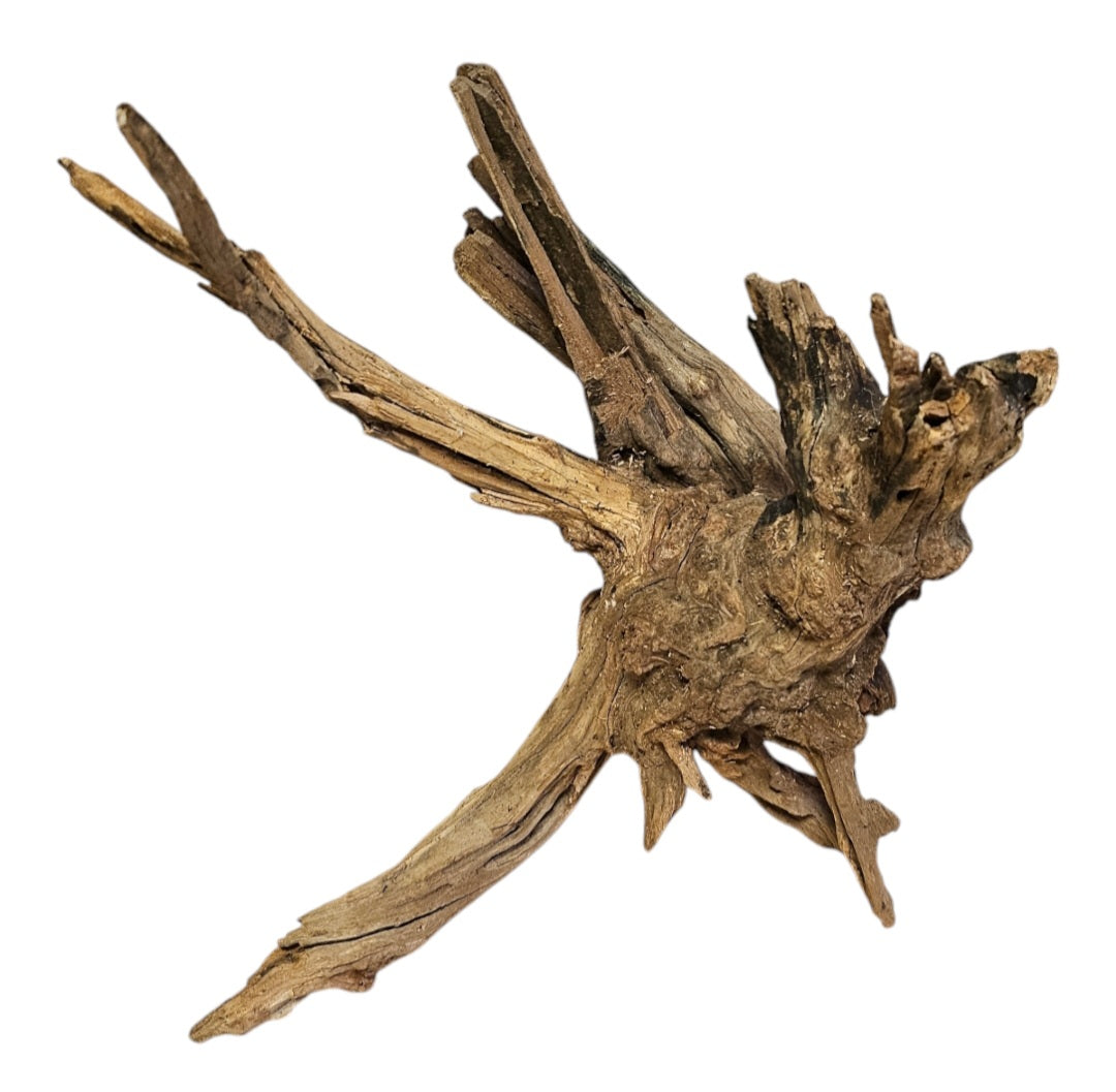 Coral Sinker Wood Nr. 873