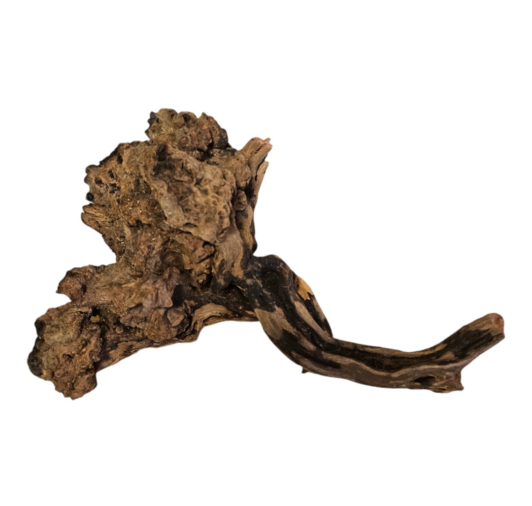 Coral Sinker Wood Nr. 874