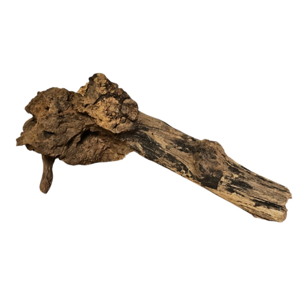 Coral Sinker Wood Nr. 876