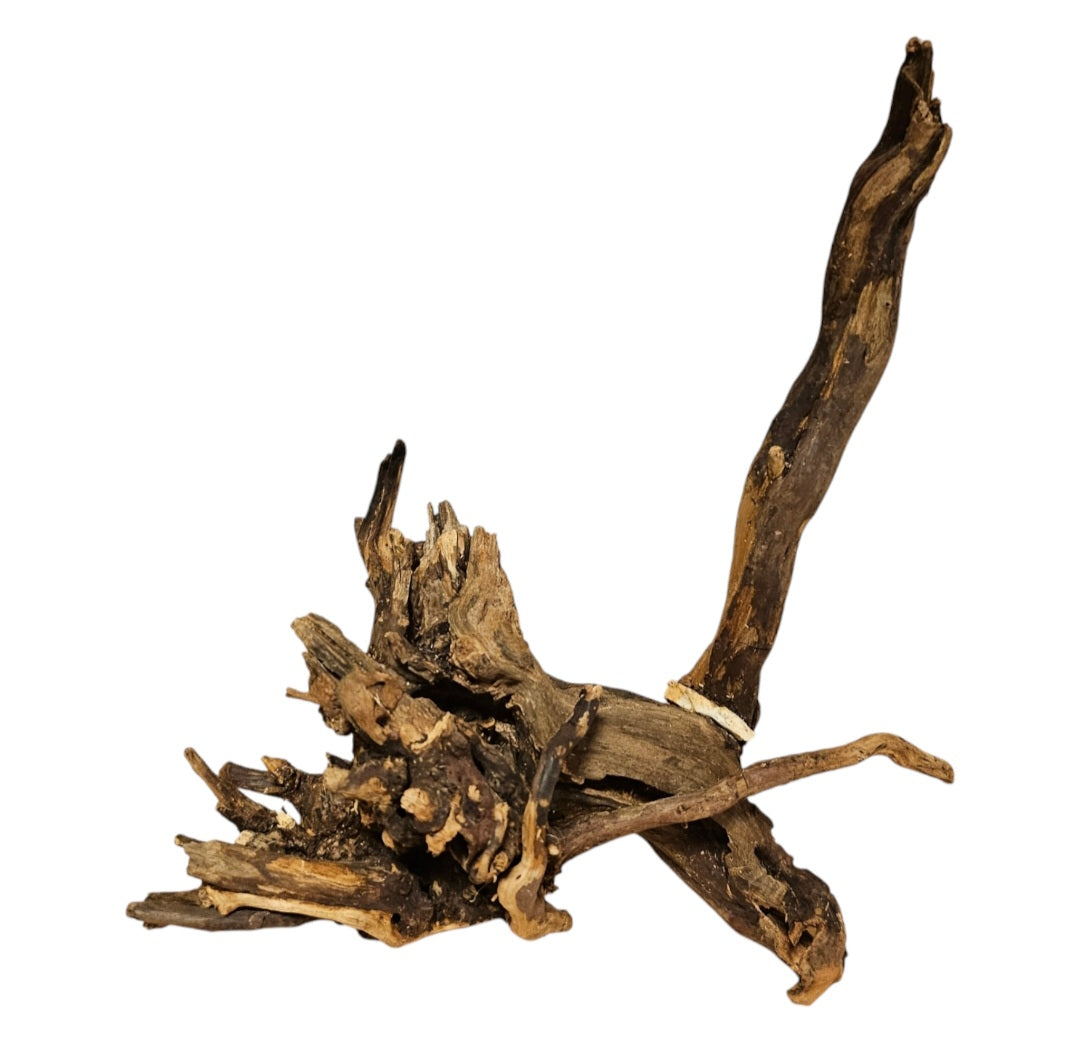 Coral Sinker Wood Nr. 880