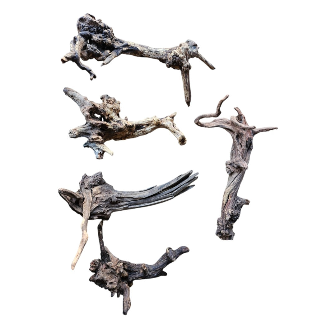 Coral Sinker MIX / Set ( 5 Stück )