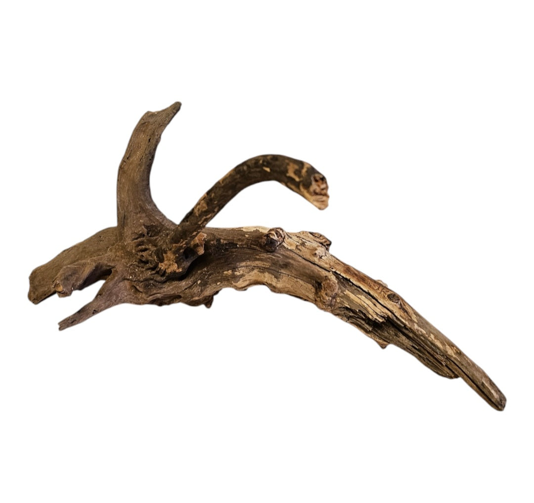 Coral Sinker Wood Nr. 884