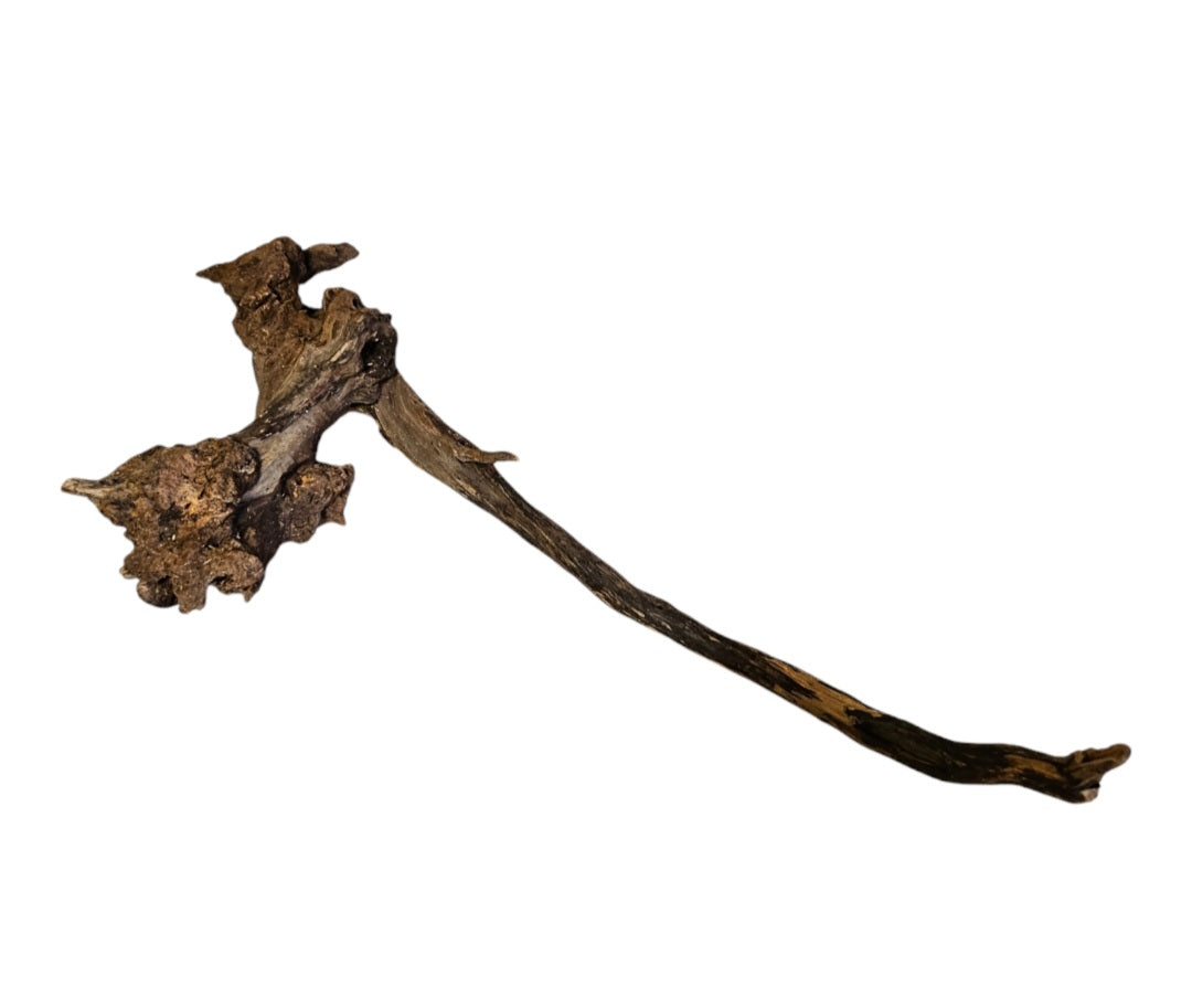 Coral Sinker Wood Nr. 885