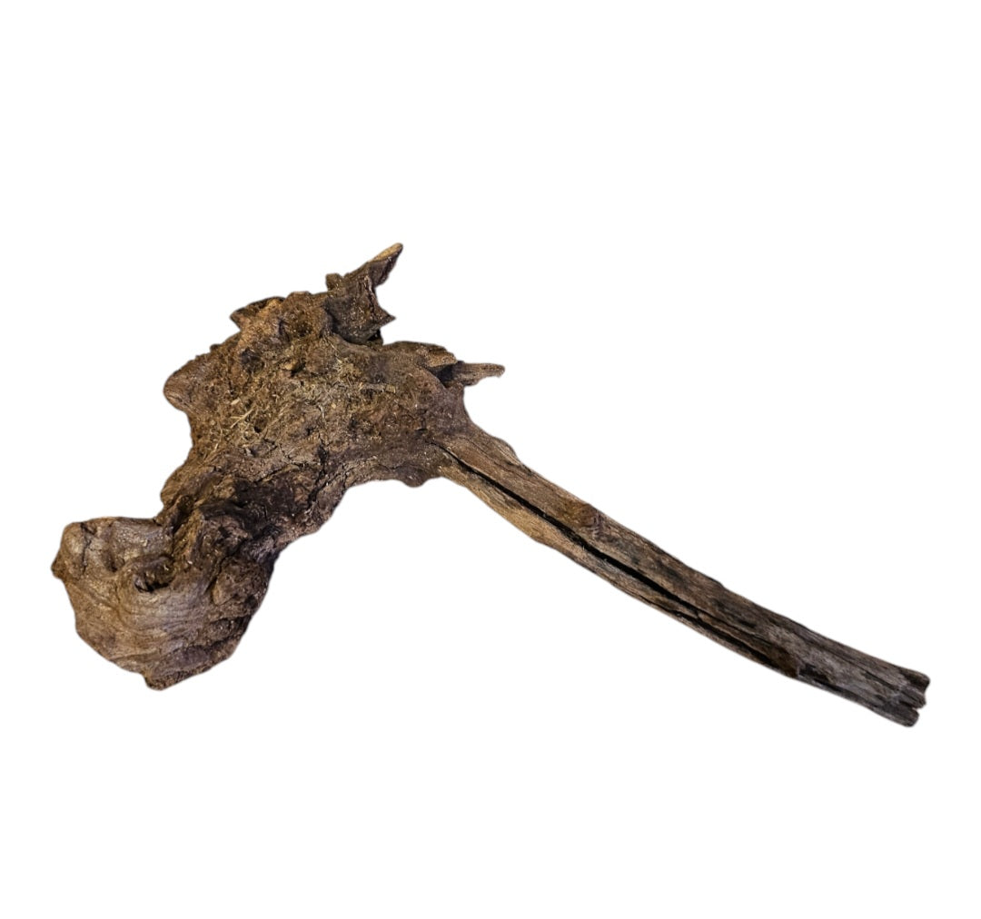 Coral Sinker Wood Nr. 890