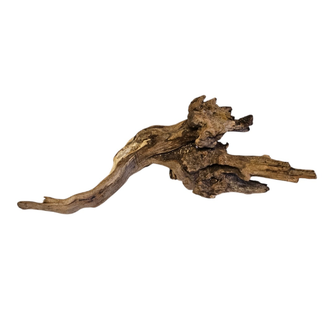 Coral Sinker Wood Nr. 891