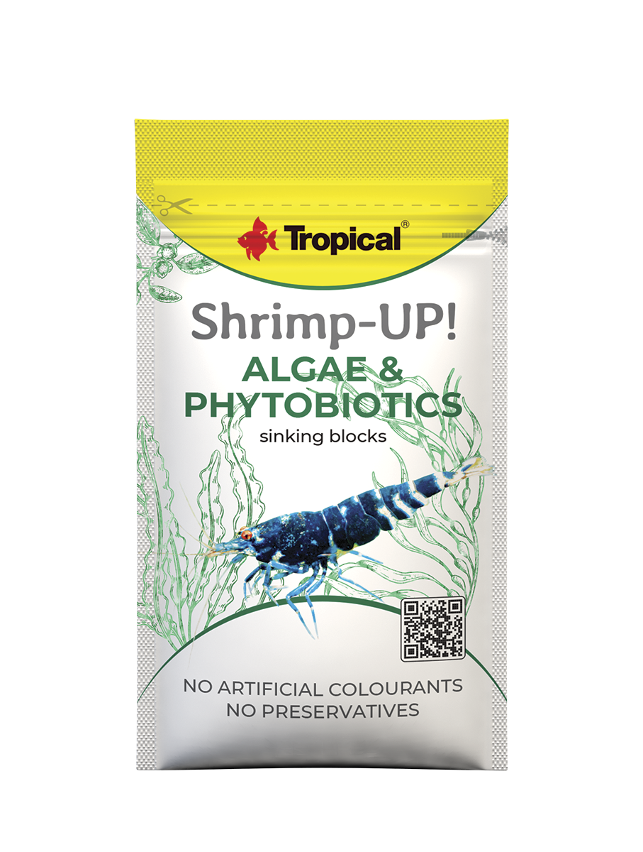 Tropical Shrimp-Up! Algae & Phytobiotics