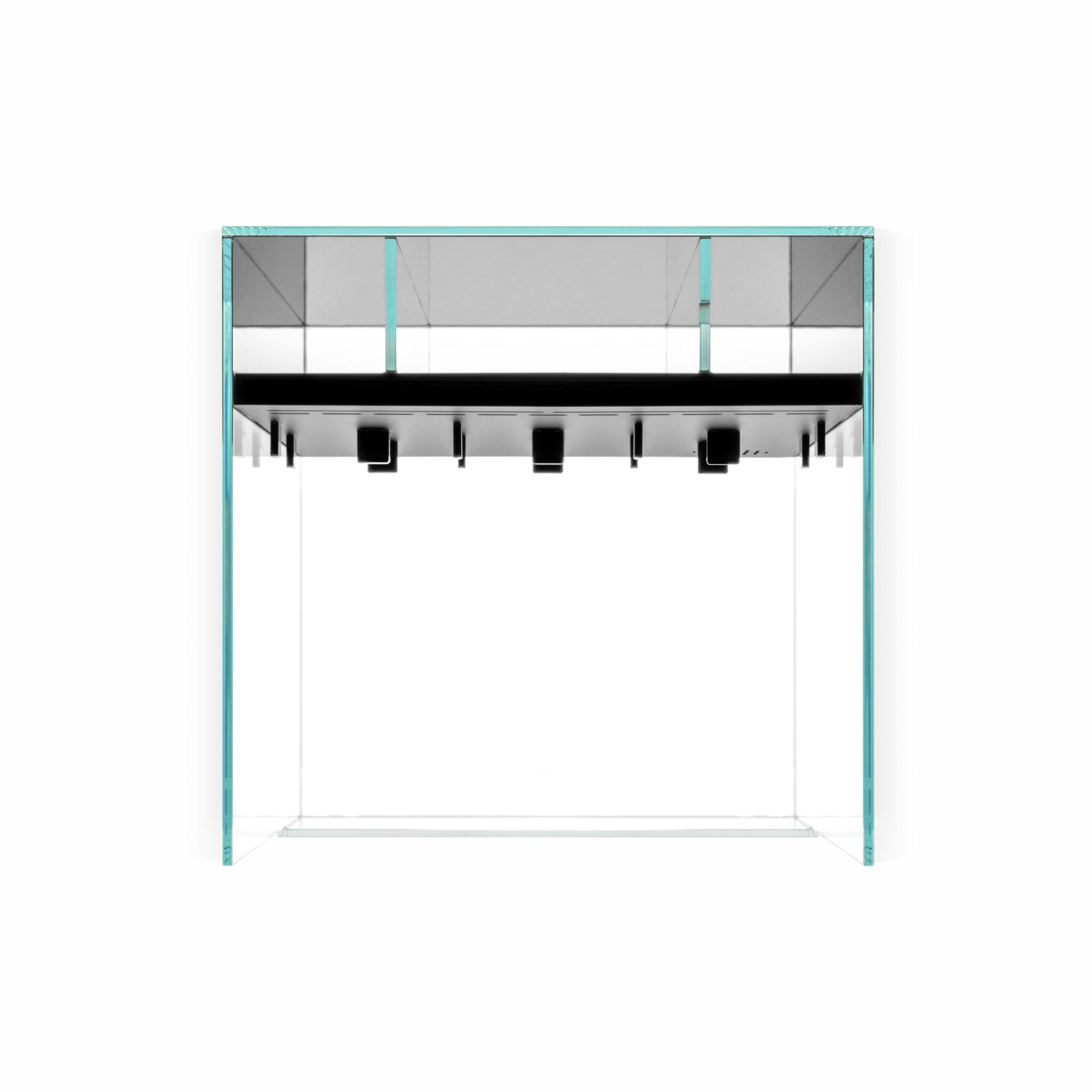 Das Bild zeigt ein rechteckiges, transparentes Paludarium. Das Aquarium ist mit einer schwarzen Rückwand ausgestattet, die mit zahlreichen kleinen Löchern perforiert ist. Die Löcher sind in einem unregelmäßigen Muster angeordnet. Sicht von oben.