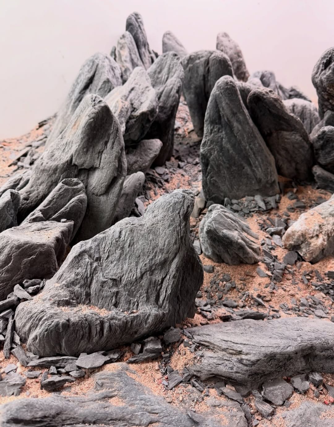 Wild Rhino Steine / Stones ( Stück - verschiedene Größen )