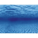 Rückwandfolie Roots/Water