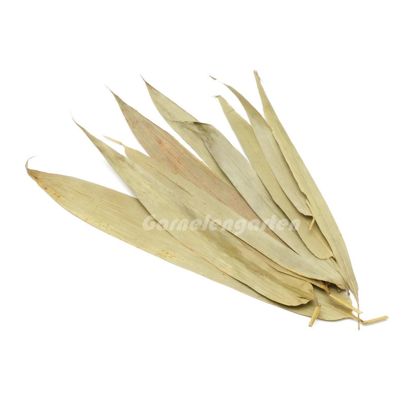 Das Bild zeigt getrocknete Blätter, die aufgrund ihrer länglichen, schmalen Form und der typischen venösen Struktur von einem Bambusbaum stammen.