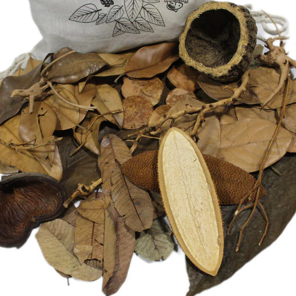 Das Bild zeigt ein typisches botanisches Kit für Aquarien. Es enthält eine Mischung aus verschiedenen natürlichen Materialien, die speziell dafür ausgewählt wurden, um ein natürliches und gesundes Umfeld für Aquarienbewohner zu schaffen.