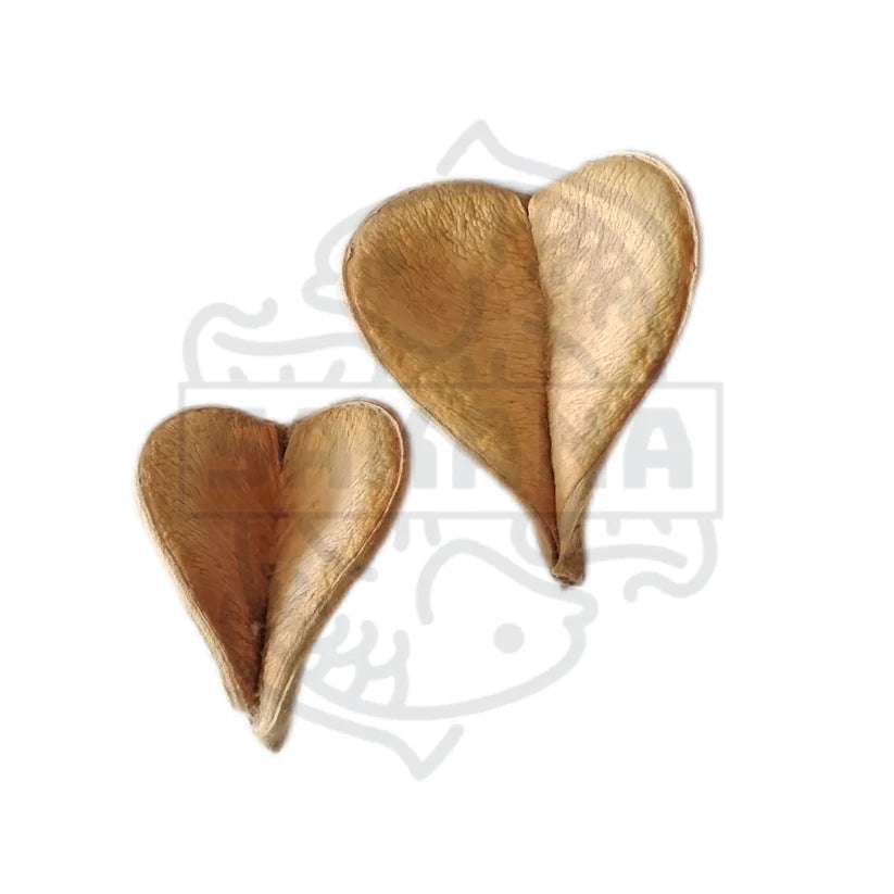 herzförmig , In der Aquaristik werden ähnliche Blätter oft als Versteck für Garnelen und Fische verwendet und geben dem Wasser zudem natürliche Tannine ab.