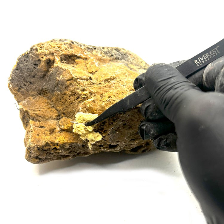 Fast Fusion Compound ( verschiedene Farben und Größen )