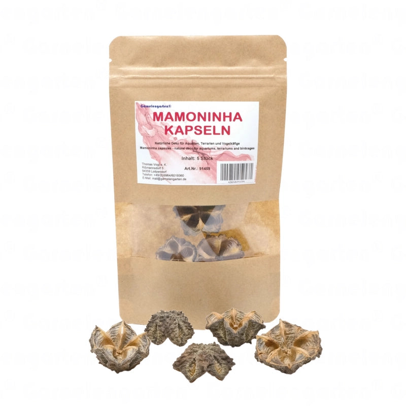 Garnelengarten® Mamoninha Kapseln | 5 Stück