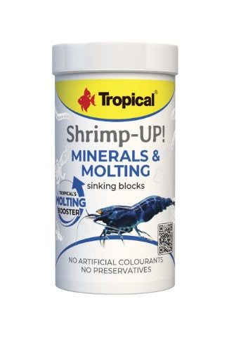 Tropical Shrimp-Up! Minerals & Molting