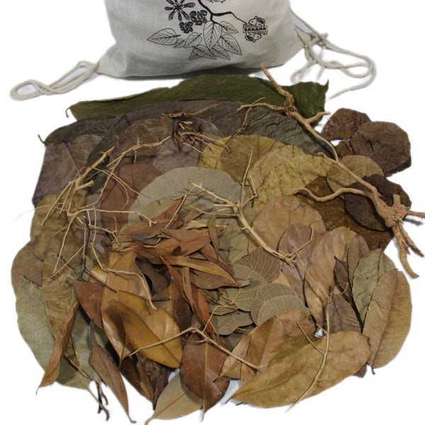 Das Bild zeigt eine bunte Mischung aus getrockneten Blättern und kleinen Zweigen, die in einem natürlichen Stoffbeutel aufbewahrt werden.