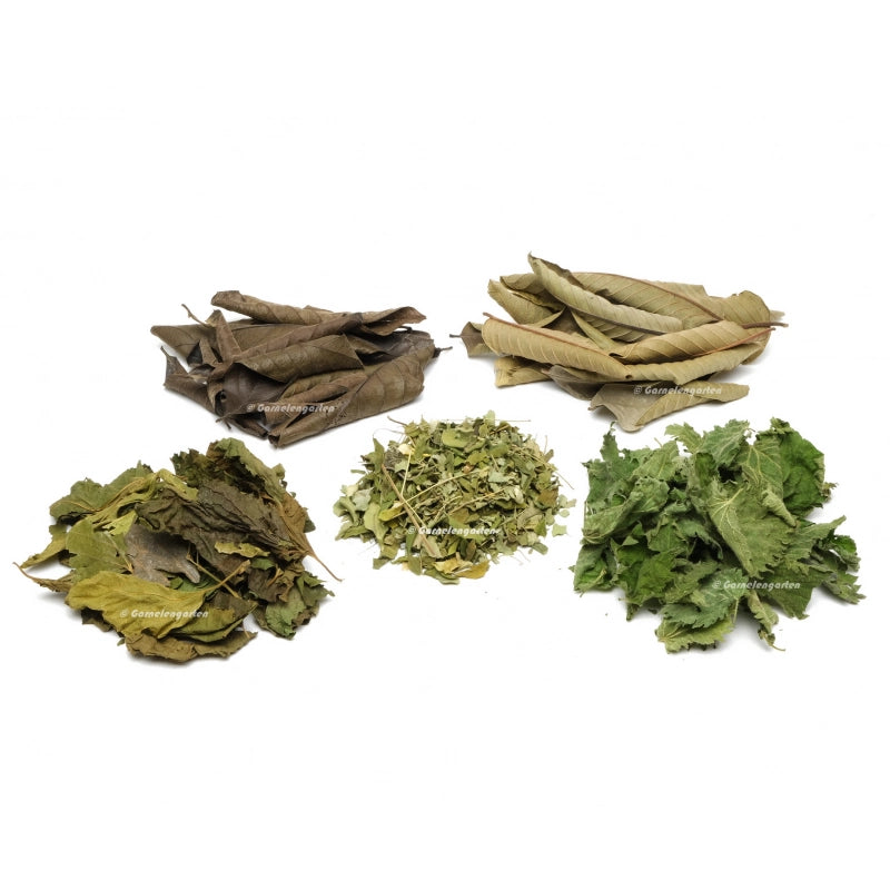 Mix Leckerblätter - 5 Sorten