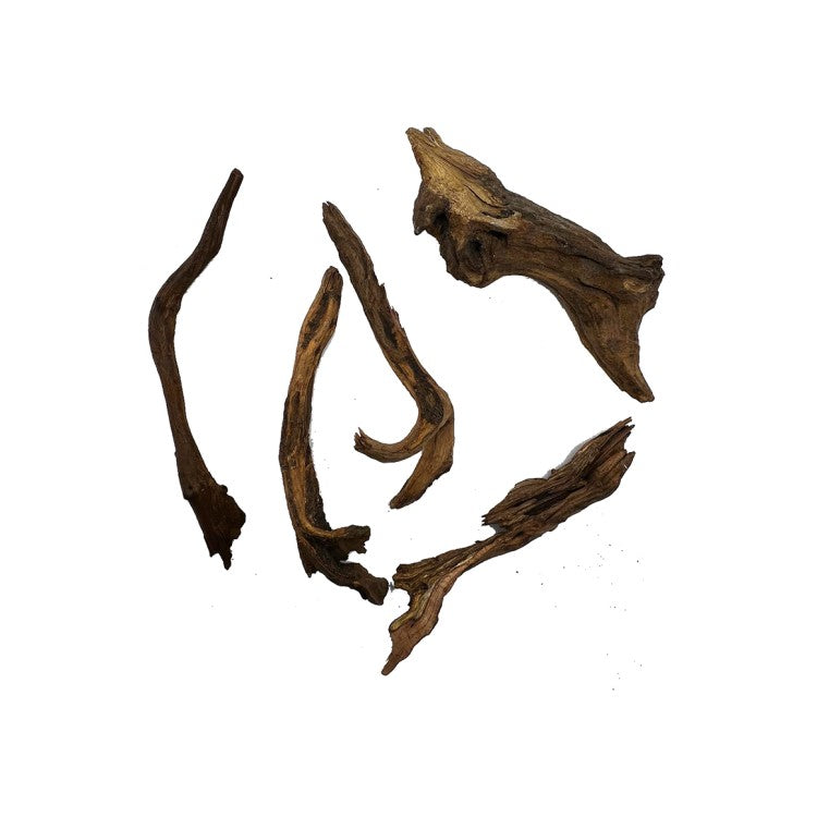 Eine Sammlung von fünf Treibholzstücken in verschiedenen Größen und Formen.