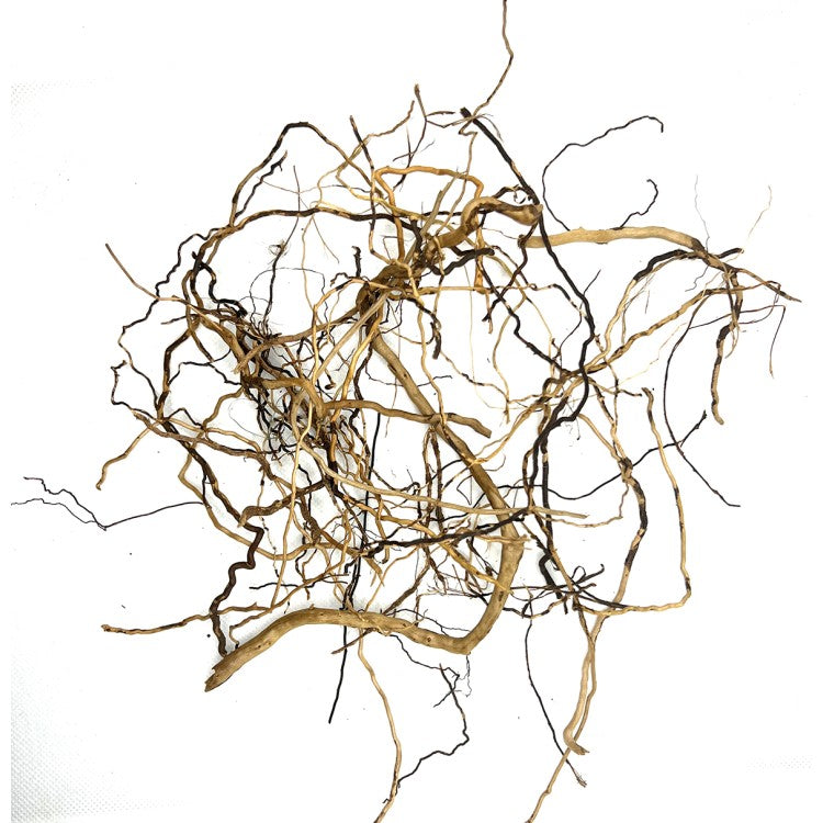 Das Bild zeigt ein Gewirr von dünnen, verästelten Wurzeln. Die Wurzeln sind braun und haben eine natürliche, organische Textur. Sie sind von unterschiedlicher Länge und Dicke und scheinen aus einem einzigen Ursprung zu entspringen.