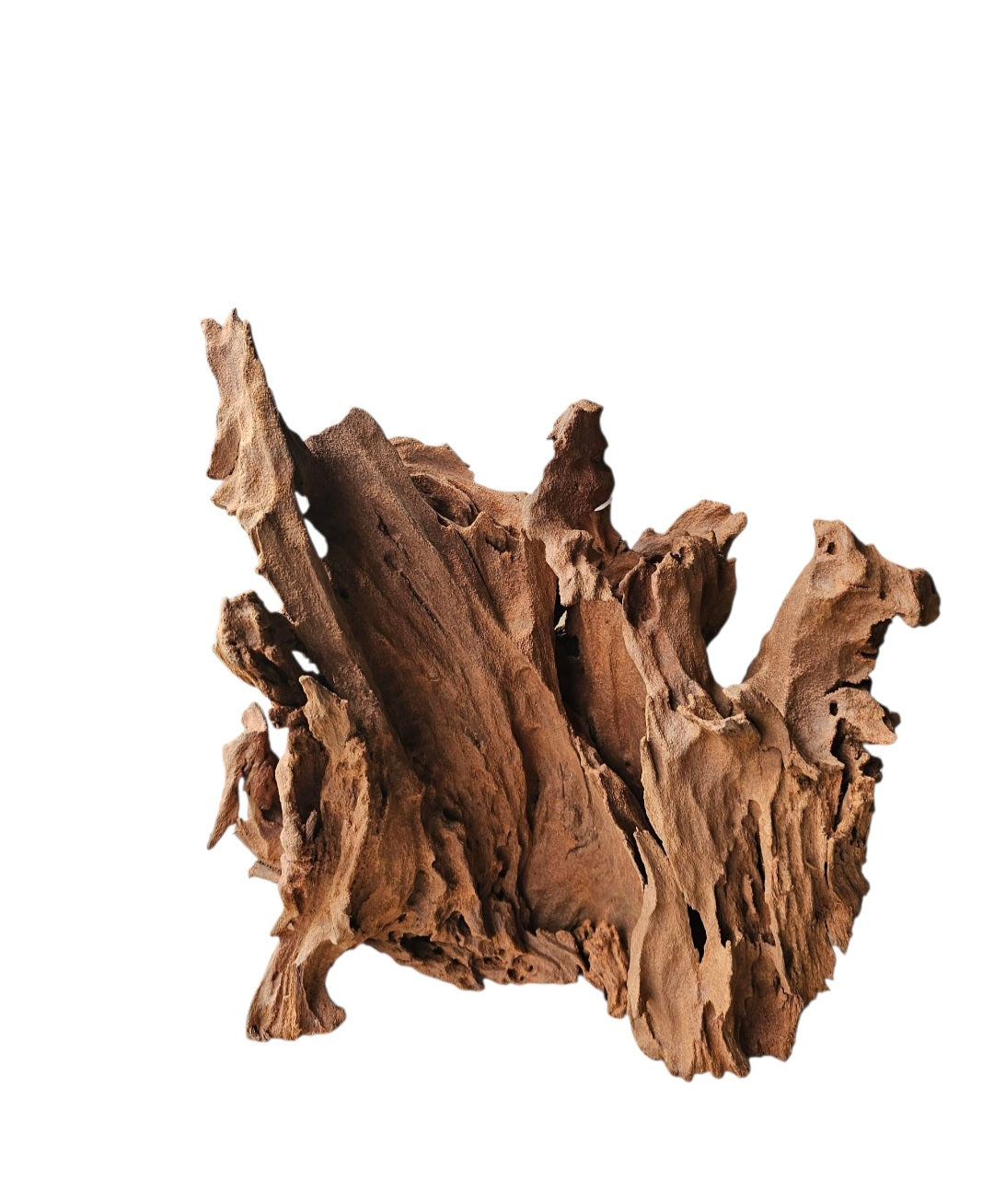 Mangrove Größe XL / Nr.383