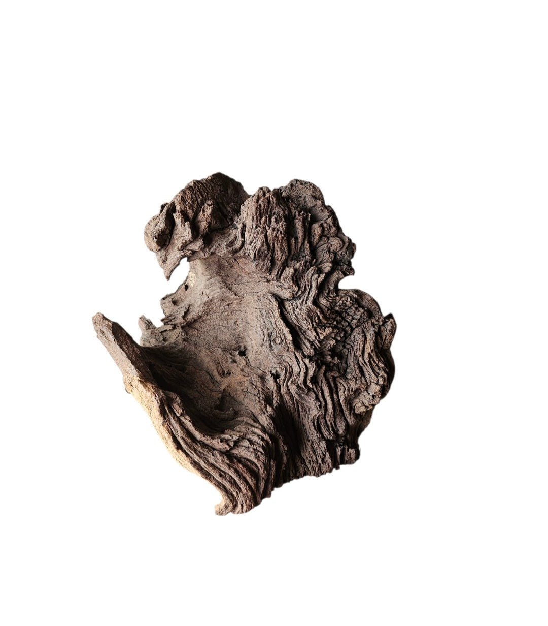 Mopani Wurzel Nr.685