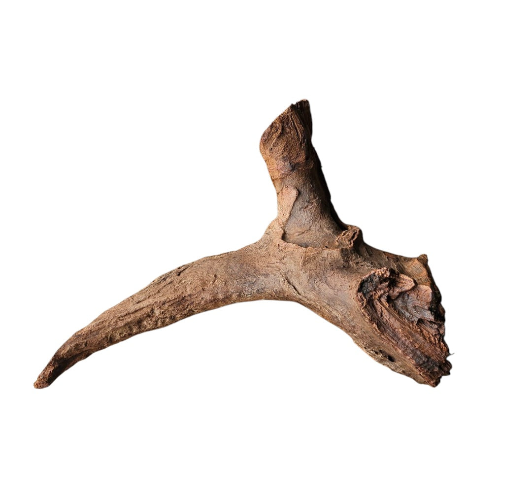 Driftwood / Flusswurzel Nr. 256