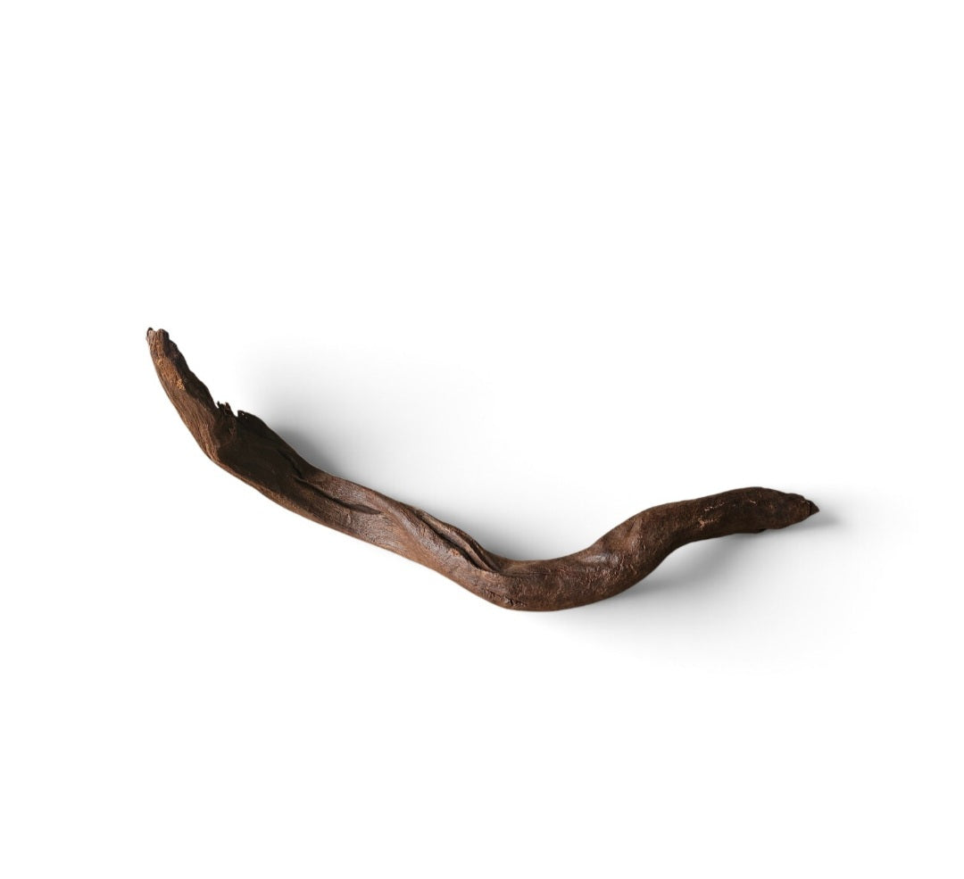 Driftwood / Flusswurzel Nr. 15