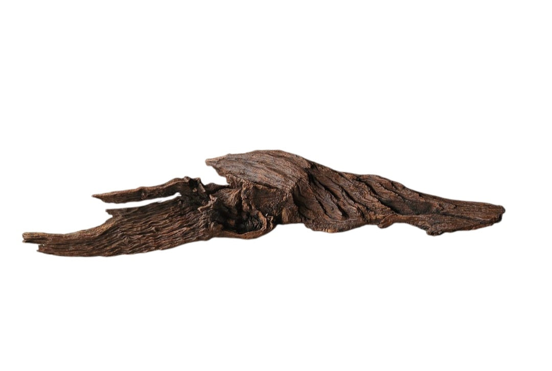 Driftwood / Flusswurzel Nr.214