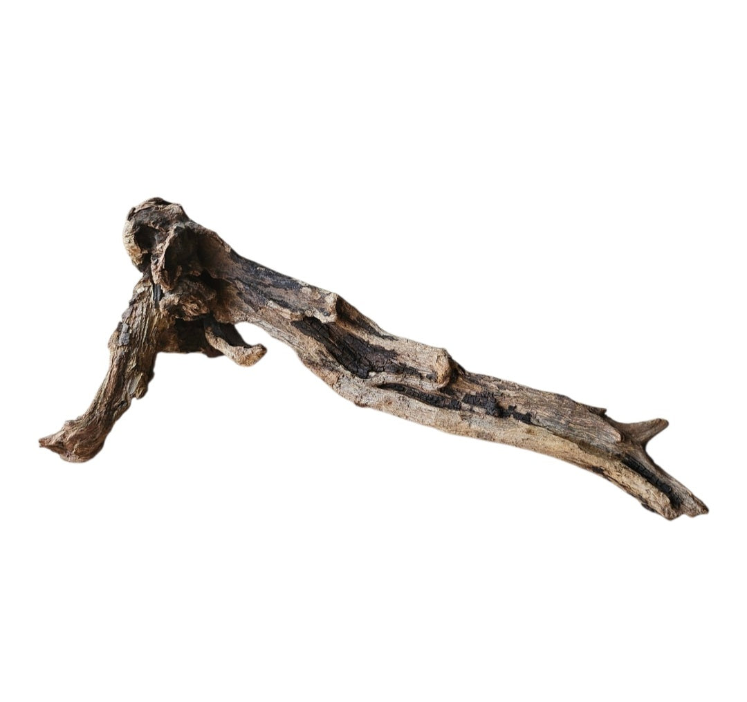 Coral Sinker Wood Nr. 871