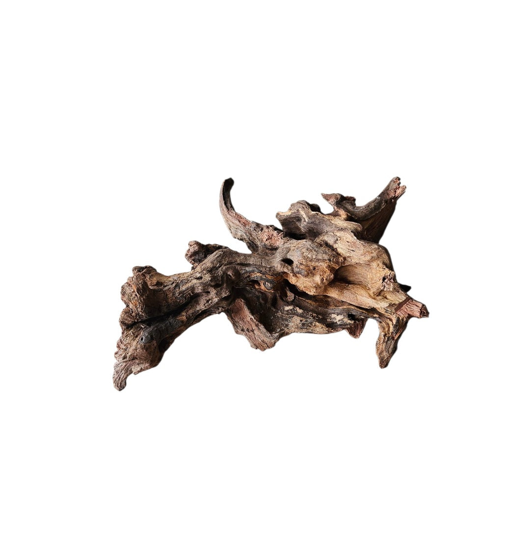 Coral Sinker Wood Nr.647