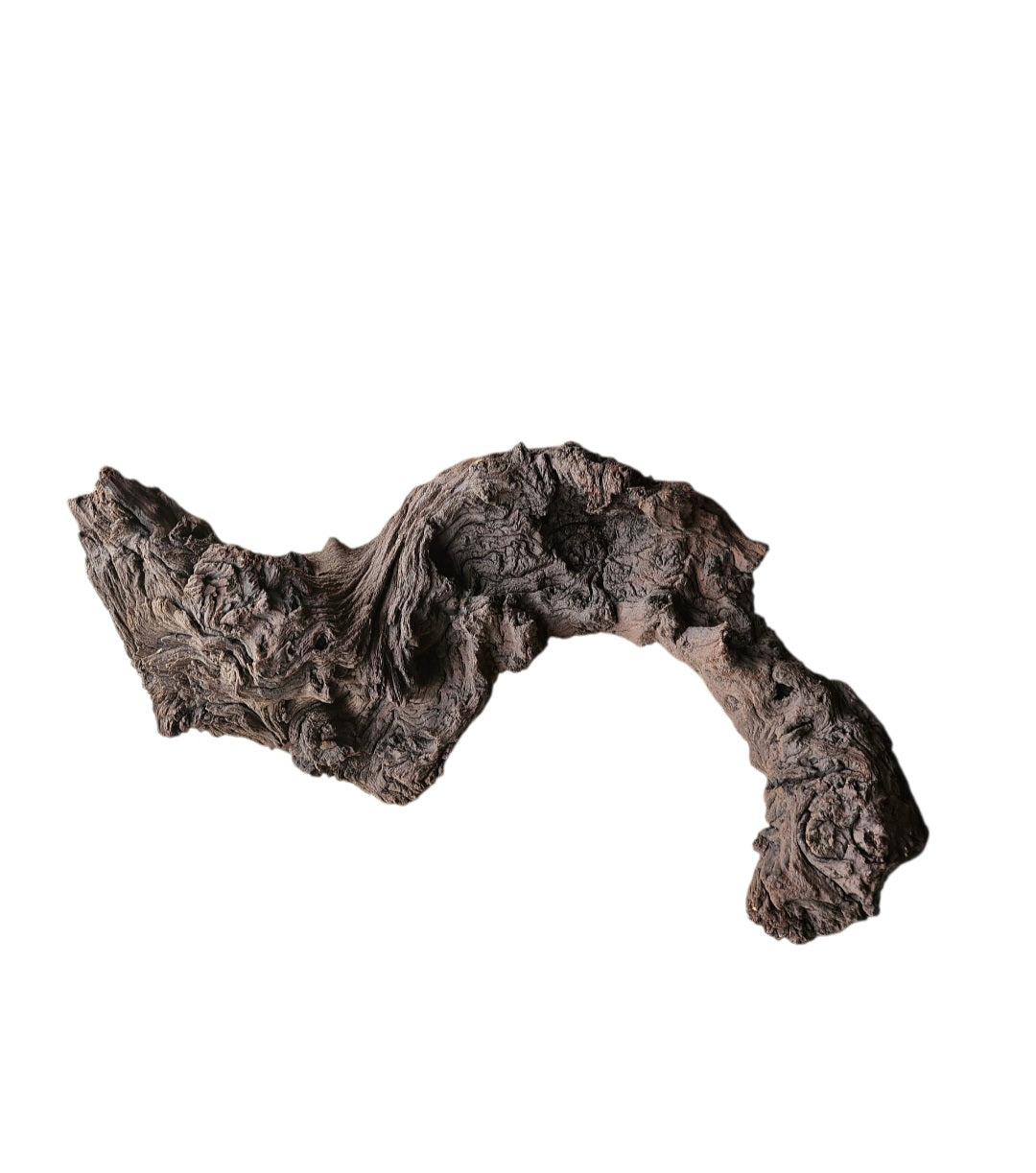 Mopani Wurzel Nr.790