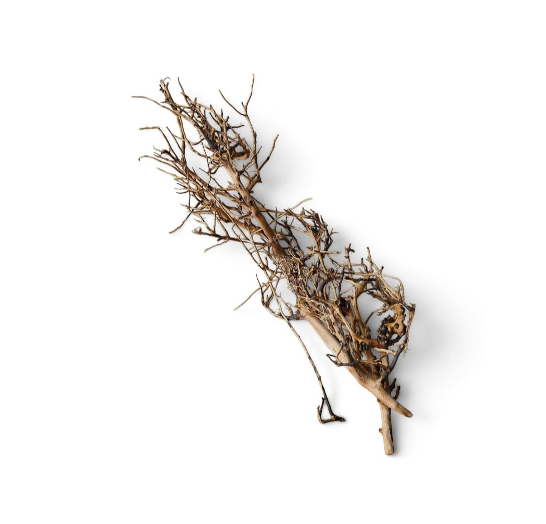 Small tree branches Nr.672