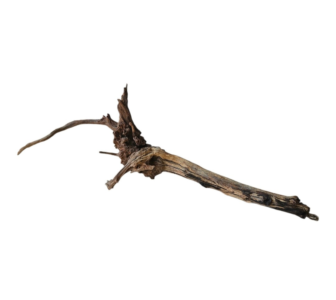 Coral Sinker Wood Nr. 869