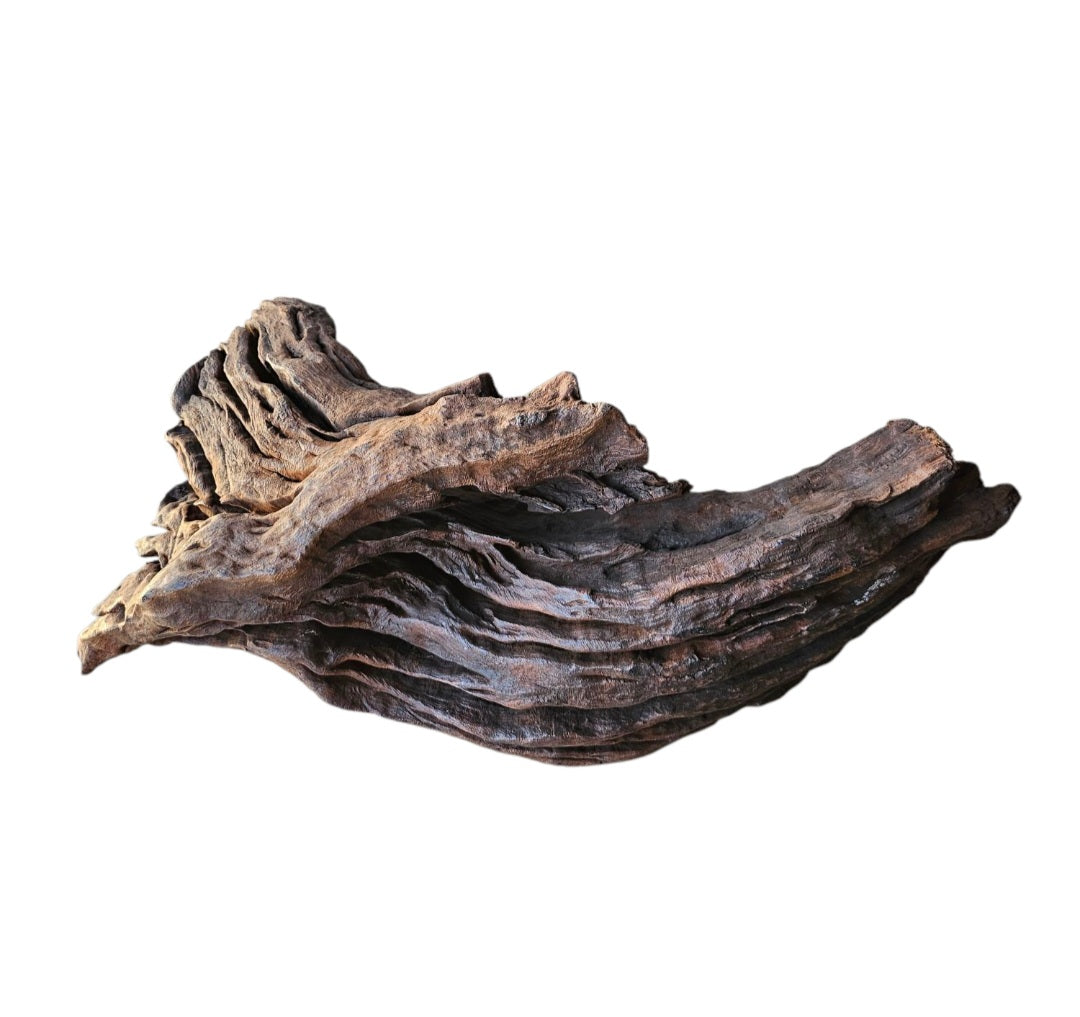Driftwood / Flusswurzel Nr.751