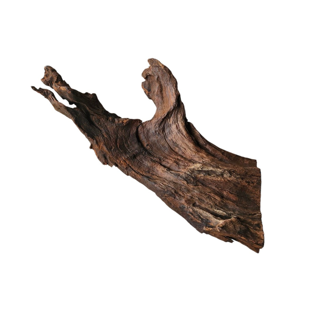 Driftwood / Flusswurzel Nr.209