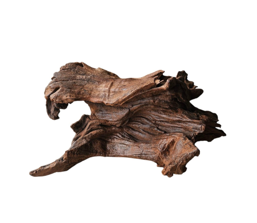 Driftwood / Flusswurzel Nr. 257