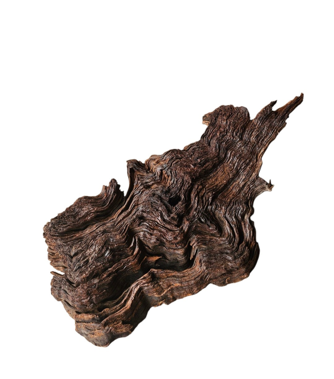 Driftwood / Flusswurzel Nr.337