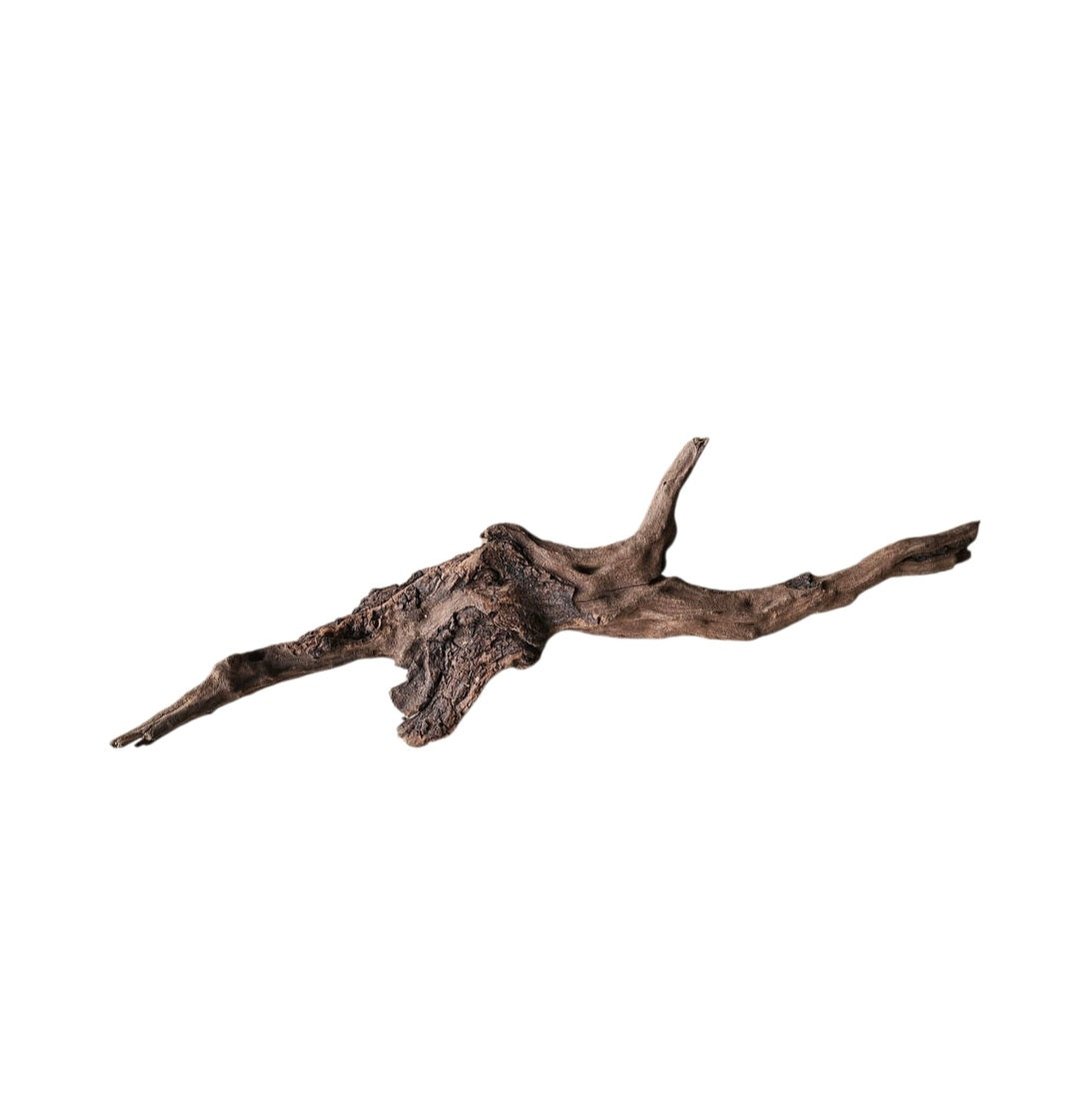 Coral Sinker Wood Nr.652