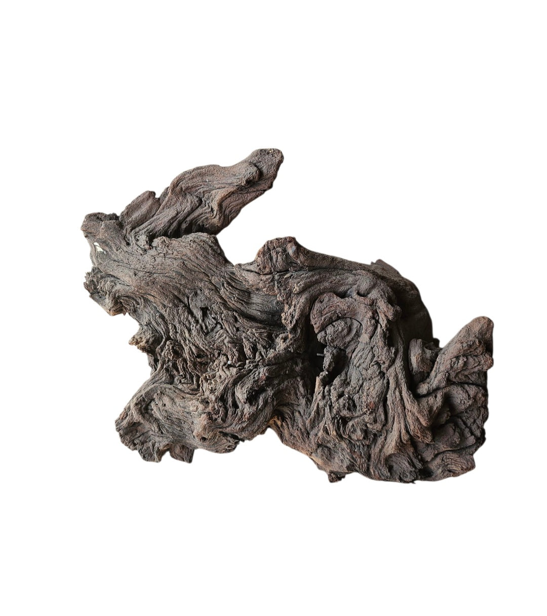 Mopani Wurzel Nr.371