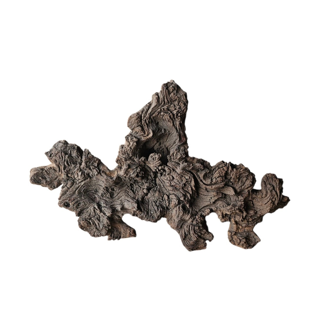 Mopani Wurzel Nr.858